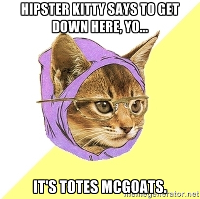 Marketing to Millennials - Hipster Kitty